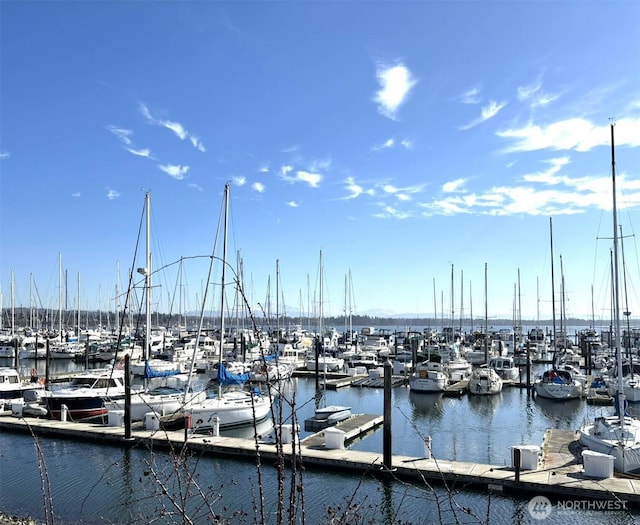 dock area featuring a water view