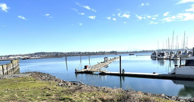 dock area with a water view