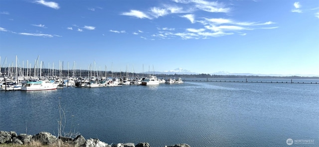 property view of water featuring a boat dock