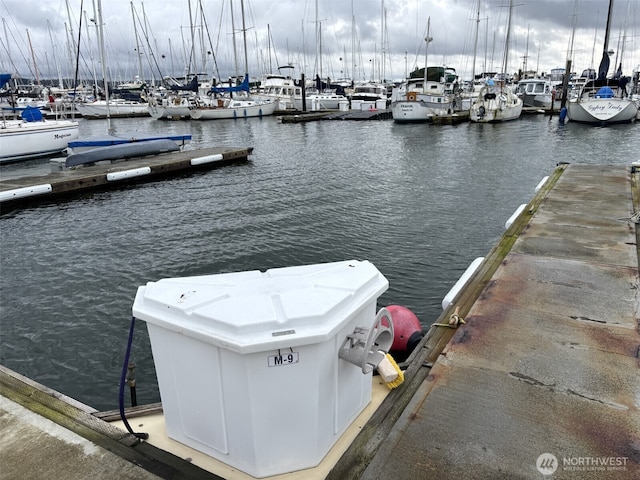 dock area featuring a water view