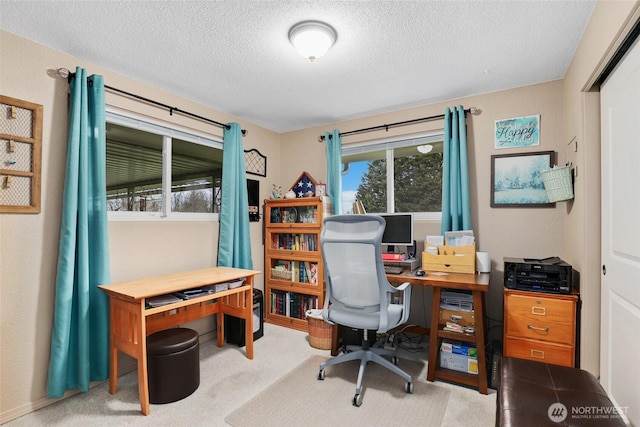 carpeted office space with a textured ceiling