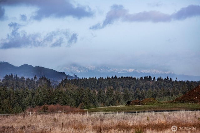 14010 Quiet Waters Ln SW, Rochester, WA 98579