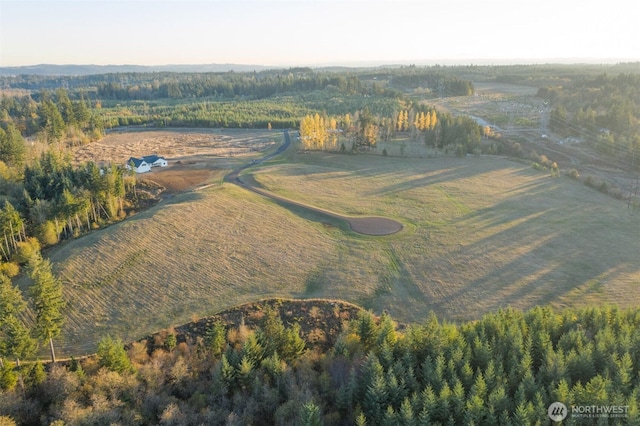 14010 Quiet Waters Ln SW, Rochester, WA 98579
