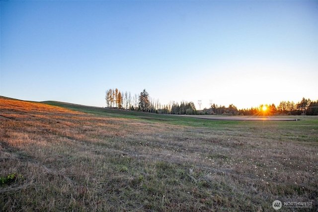 14010 Quiet Waters Ln SW, Rochester, WA 98579