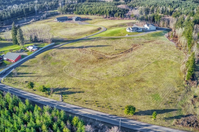 14010 Quiet Waters Ln SW, Rochester, WA 98579
