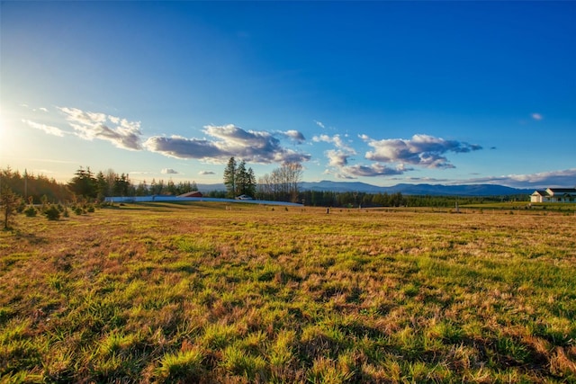 14010 Quiet Waters Ln SW, Rochester, WA 98579