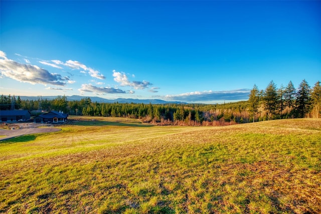 14010 Quiet Waters Ln SW, Rochester, WA 98579
