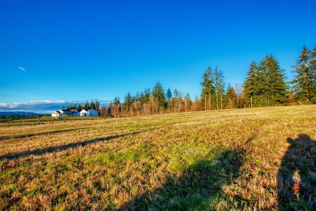 14010 Quiet Waters Ln SW, Rochester, WA 98579