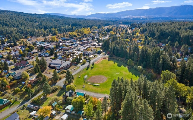 birds eye view of property with a mountain view and a view of trees