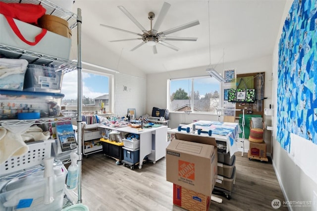 office with lofted ceiling, wood finished floors, baseboards, and ceiling fan