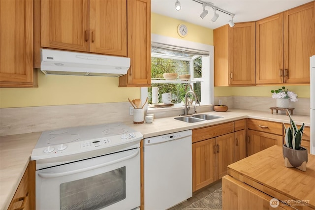 kitchen with white appliances, light countertops, under cabinet range hood, and a sink