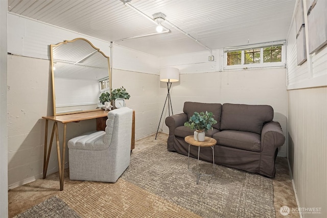 living area with concrete flooring and concrete block wall