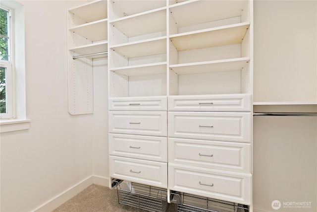 walk in closet with carpet floors