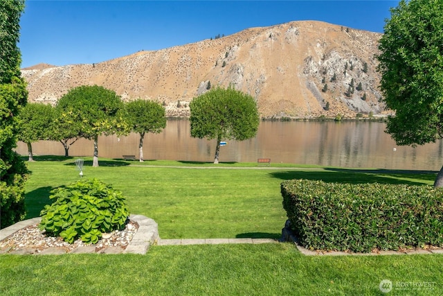 view of yard with a water and mountain view