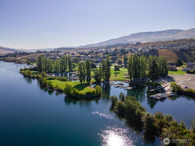 birds eye view of property featuring a water and mountain view