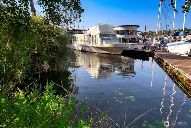 water view featuring a dock