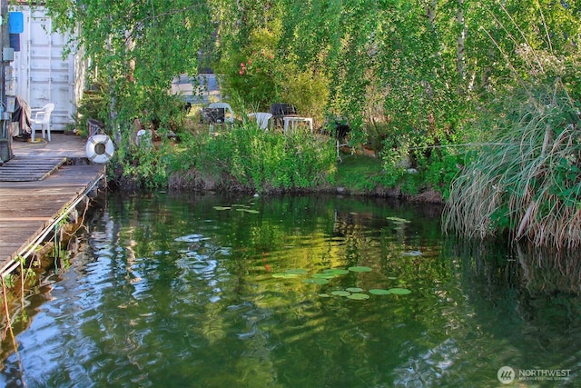 property view of water