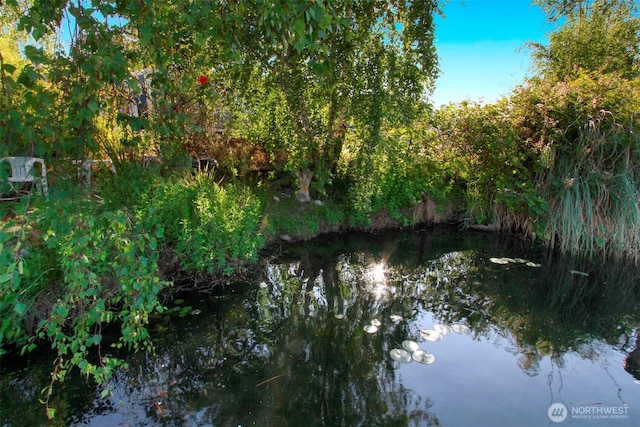 view of water feature