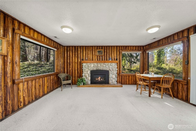 living area with wood walls