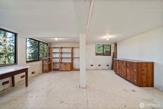 basement featuring light floors