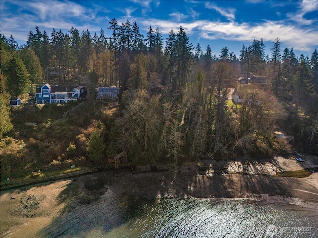 drone / aerial view featuring a wooded view