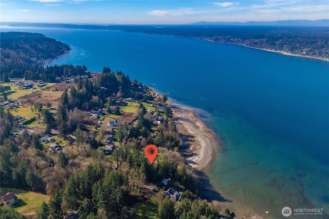 drone / aerial view featuring a water view and a view of trees