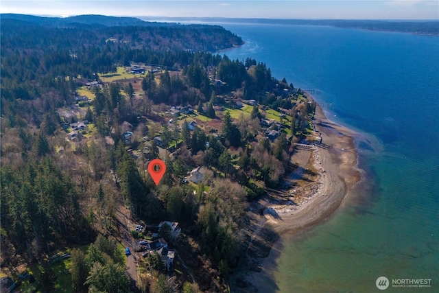 drone / aerial view featuring a water view and a view of trees