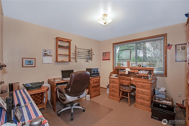 home office with carpet