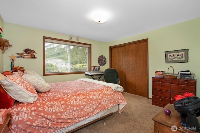 bedroom with a closet and carpet