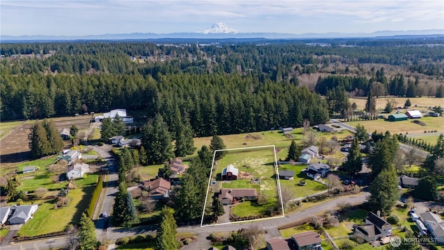 aerial view featuring a mountain view and a wooded view