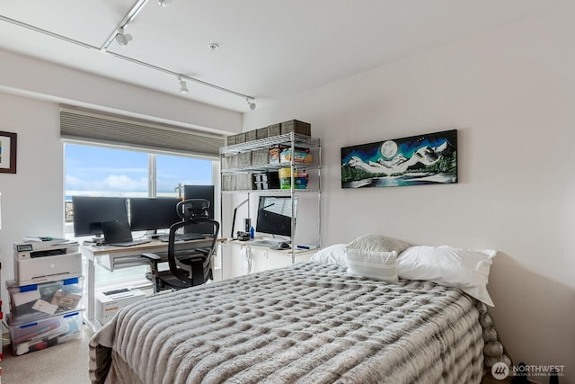 bedroom with track lighting