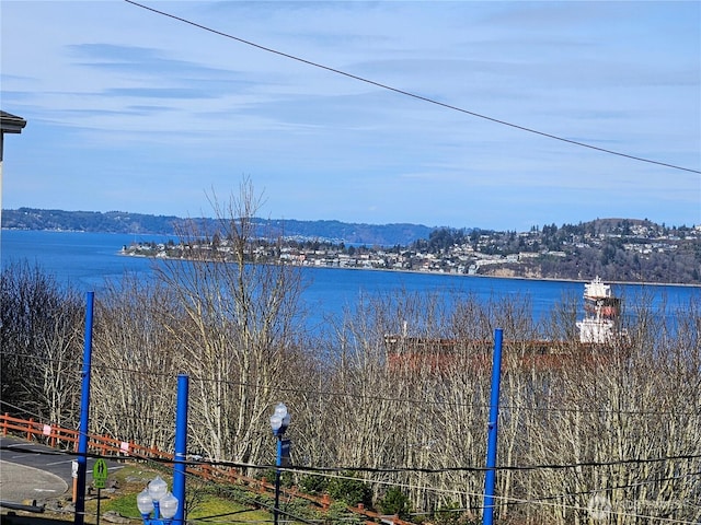 water view featuring fence