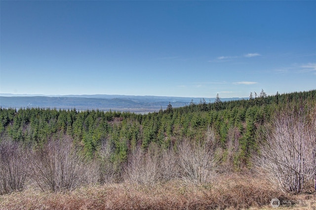 exterior space with a mountain view and a view of trees