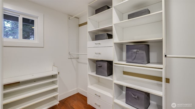 spacious closet featuring dark wood-type flooring