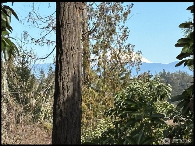 view of mountain feature