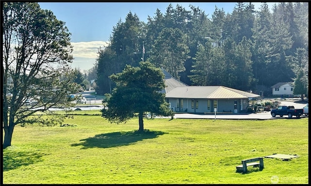 view of yard featuring a patio