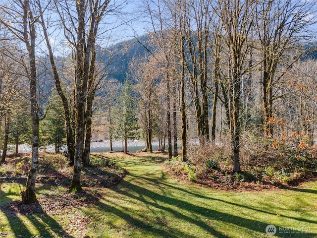 view of yard featuring a forest view