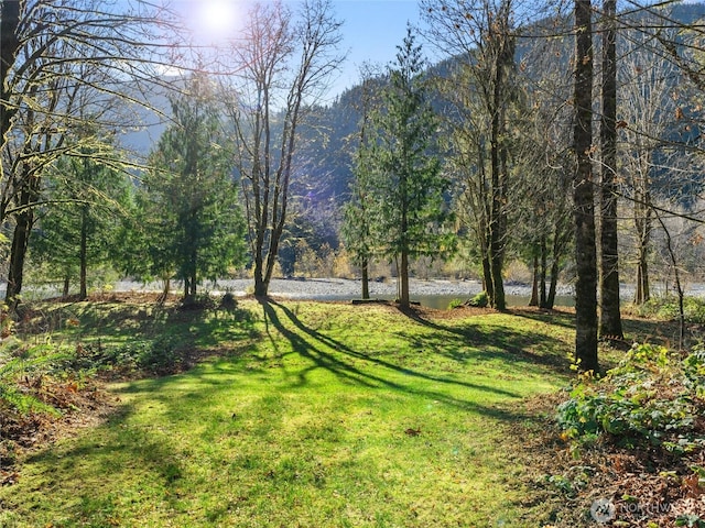 view of yard with a view of trees