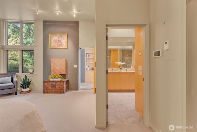 bedroom featuring multiple windows, ensuite bath, and light colored carpet