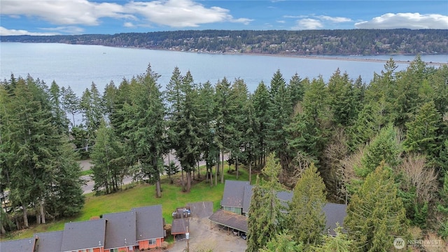 birds eye view of property with a water view and a forest view