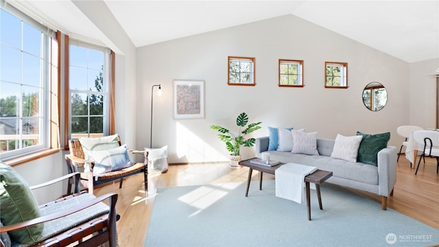 living room with lofted ceiling and wood finished floors