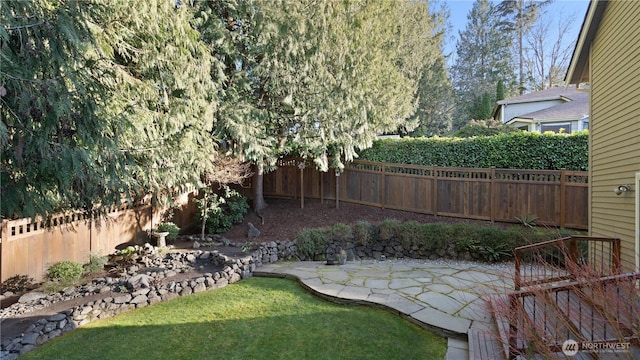 view of yard with a patio and a fenced backyard