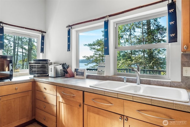 kitchen with a healthy amount of sunlight and a sink