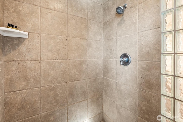 interior details featuring tiled shower