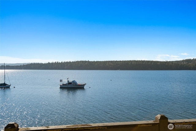 water view featuring a forest view