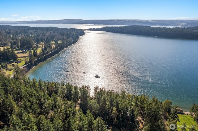 bird's eye view with a water view and a forest view