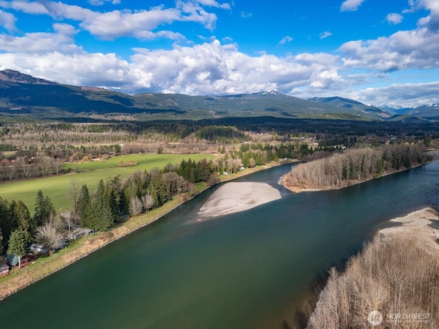 aerial view with a view of trees and a water and mountain view