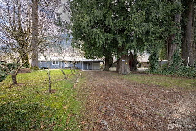 view of yard with dirt driveway