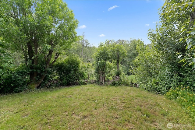 5939 Delridge Way SW, Seattle, WA 98106 - view of grassy yard