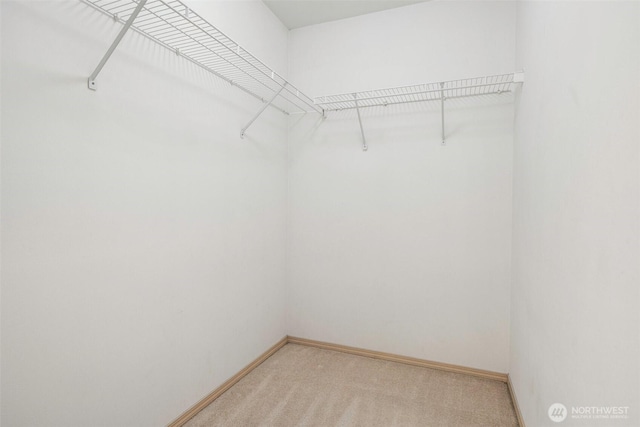 spacious closet with light carpet